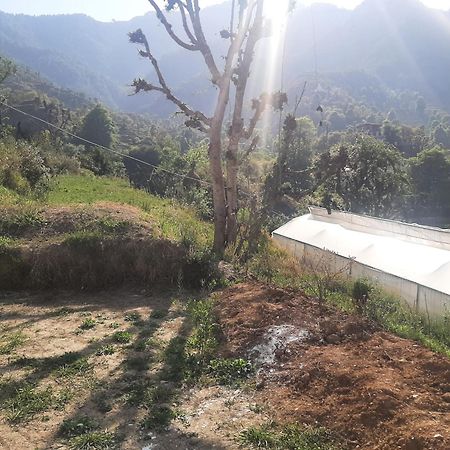 Parvatiya Homestay Mussoorie Esterno foto