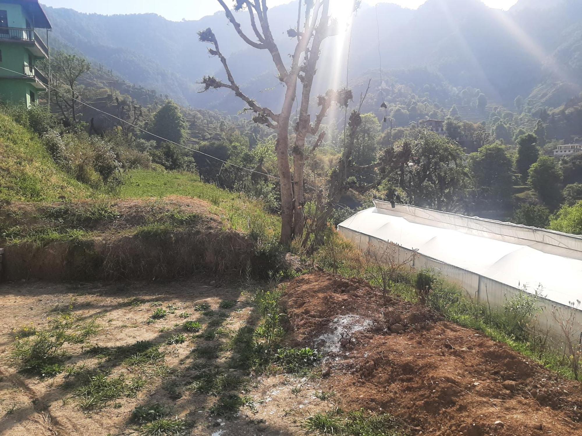Parvatiya Homestay Mussoorie Esterno foto